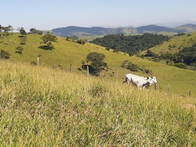 #16 - Chácara para Venda em São José dos Campos - SP - 2