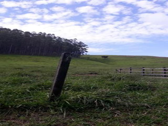 #104 - Área para Venda em Paraibuna - SP - 3