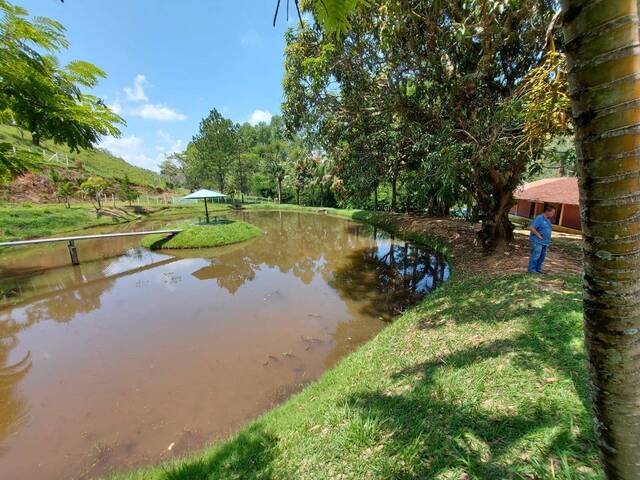 #145 - Chácara para Venda em Jacareí - SP - 3