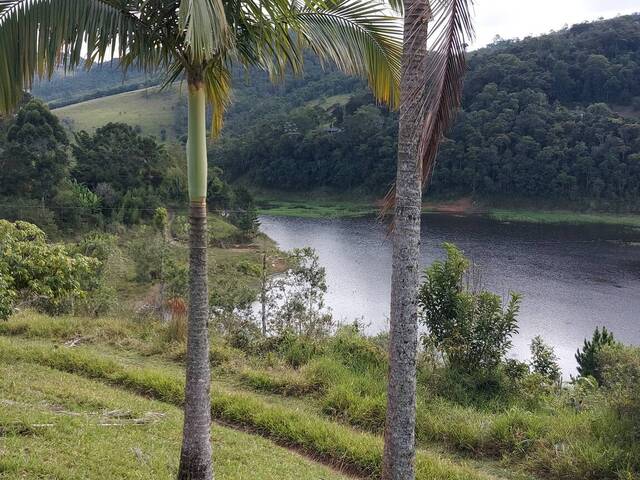 #393 - Chácara para Venda em Paraibuna - SP - 3