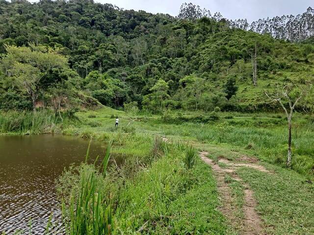 #454 - Chácara para Venda em Paraibuna - SP - 3