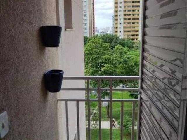 #521 - Apartamento para Locação em São José dos Campos - SP - 1